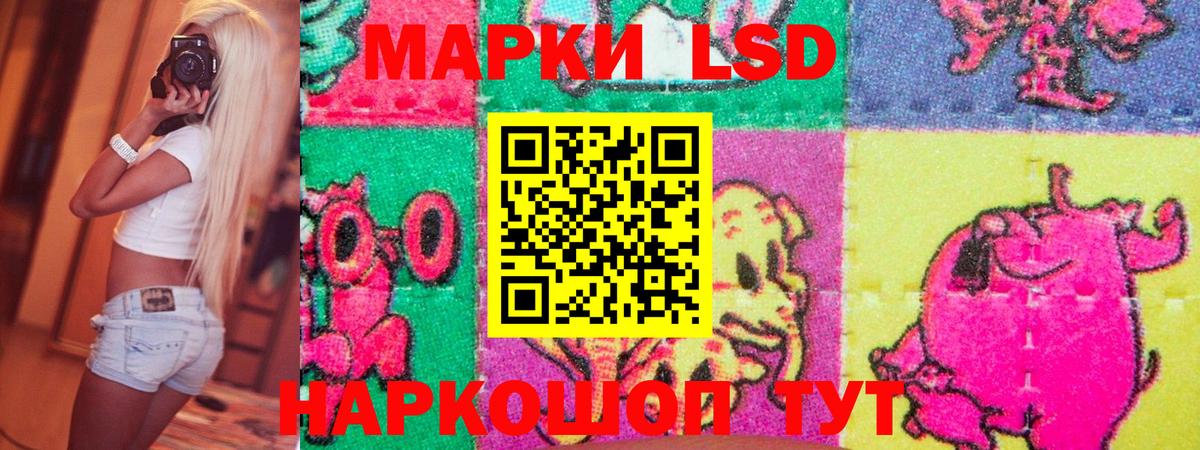 Вязьма  Наркотические марки 1500мкг  Наркотические марки 1500мкг  Вход с VPN 