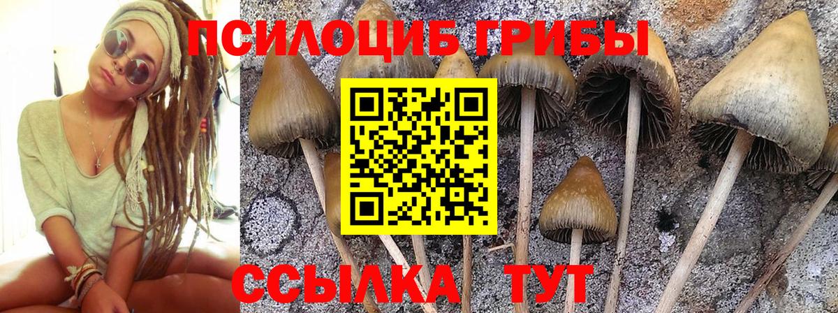 Псилоцибиновые грибы ЛСД Вязьма