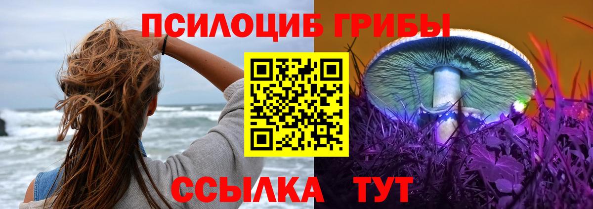 Галлюциногенные грибы Psilocybine cubensis  Псилоцибиновые грибы GOLDEN TEACHER  где купить наркотик  Вязьма  Вход с VPN 